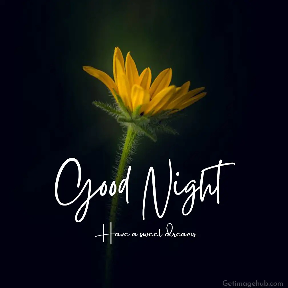 Good night flower images